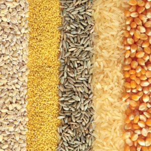 PetHydrate Water Additive